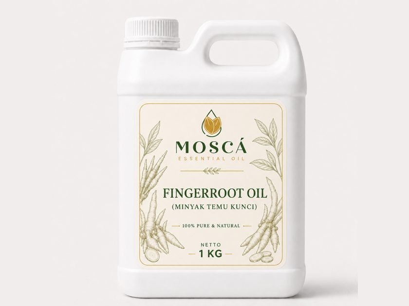 Fingerroot Oil (Temu Kunci)