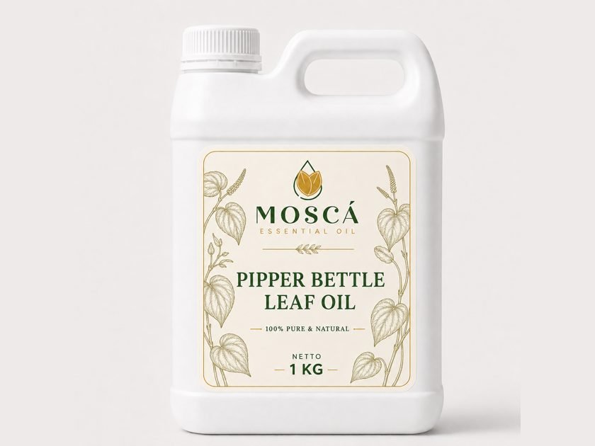 Piper Betel Leaf Oil